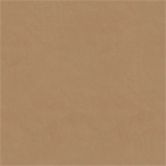 Stetson Healthcare Vinyl Upholstery Fabric